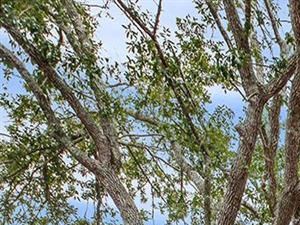 Photos and Video of Jackson Square Apartments in Tallahassee, FL